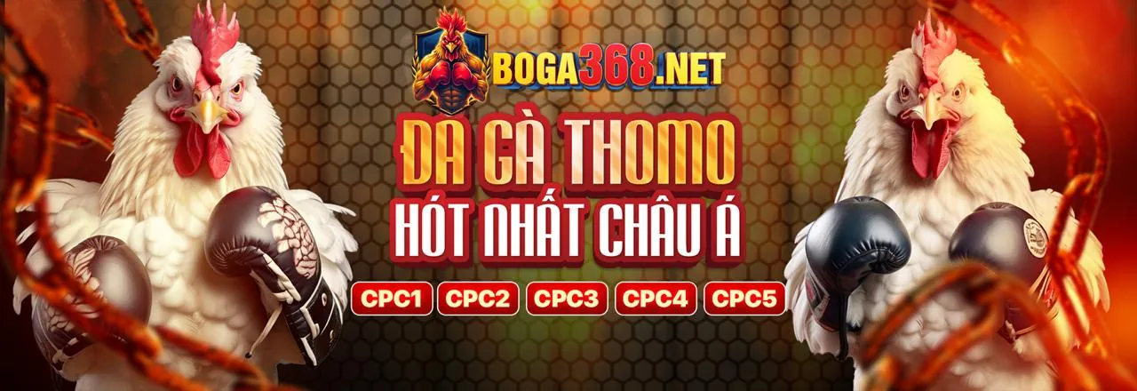 Đá Gà Trực Tuyến Hấp Dẫn tại bongda 88