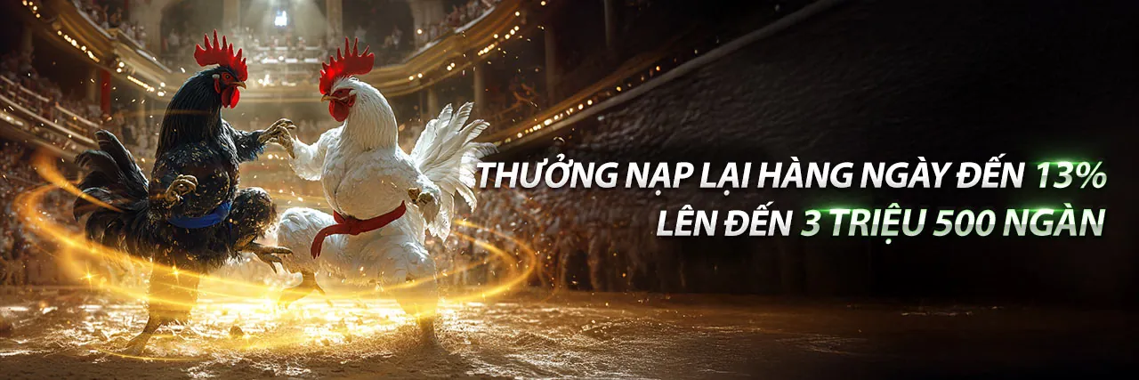 Hình ảnh tổng quan về sân chơi cá cược trực tuyến Bongda 88